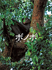 ボノボ：最後の類人猿